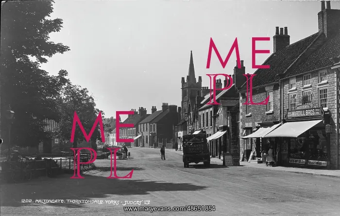 : A Quiet Day in Thornton Dale : A Quiet Day in Thornton Dale