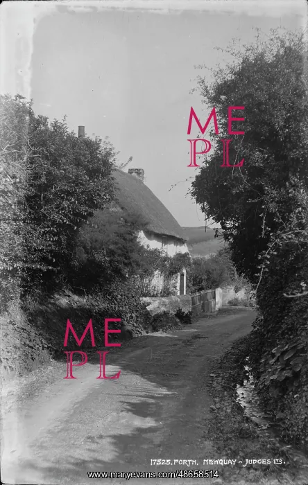 : A Quiet Lane in Porth, Newquay : A Quiet Lane in Porth, Newquay