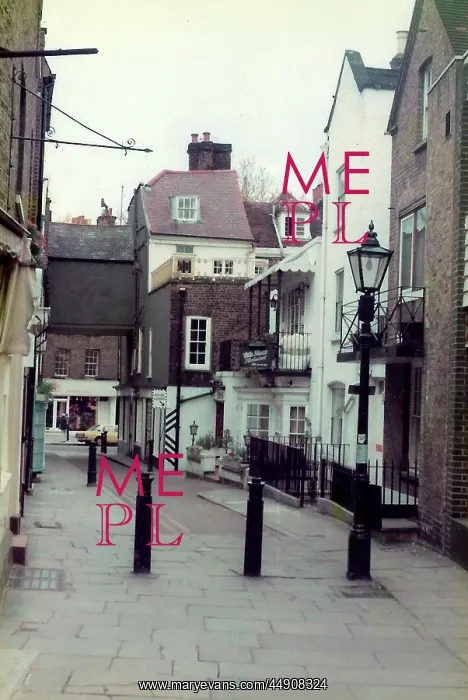 : Quiet back street in Hampstead : Quiet back street in Hampstead