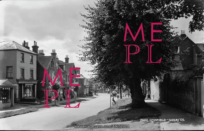 : A Quiet Street in Lindfield : A Quiet Street in Lindfield