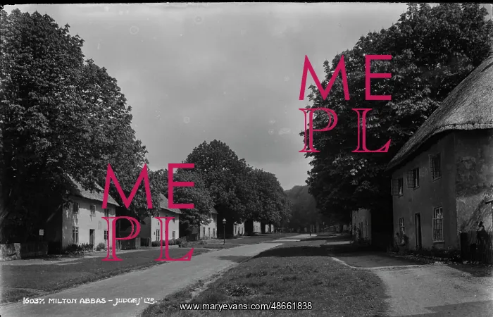 : A Quiet Street in Milton Abbas : A Quiet Street in Milton Abbas