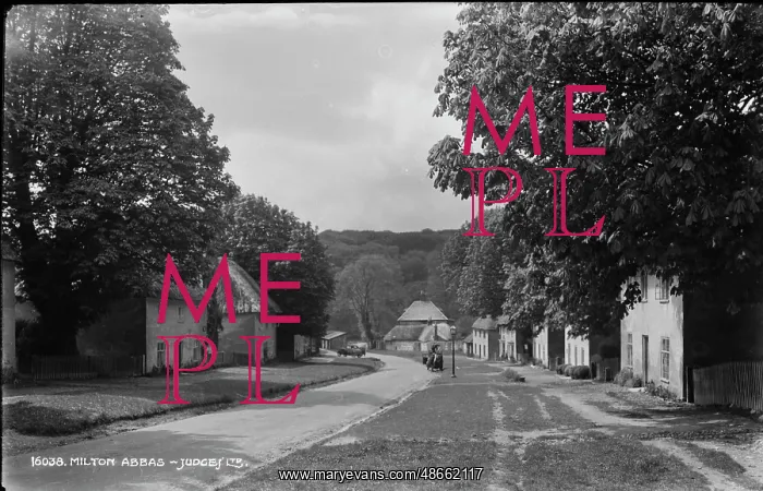 : A Quiet Street in Milton Abbas : A Quiet Street in Milton Abbas