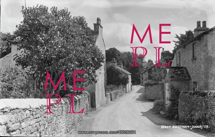 : Quiet Village Lane : Quiet Village Lane