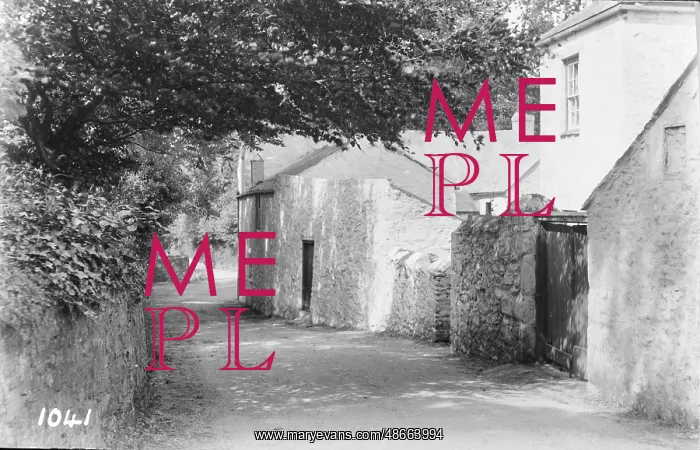 : Quiet Village Lane : Quiet Village Lane