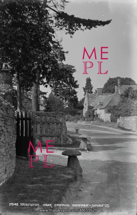 : A Quiet Village Scene : A Quiet Village Scene