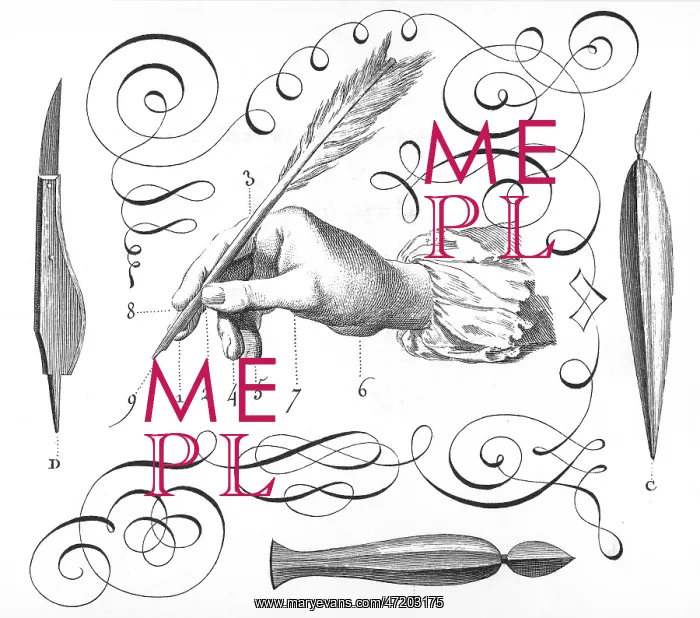 : QUILL PEN / DIDEROT : QUILL PEN / DIDEROT