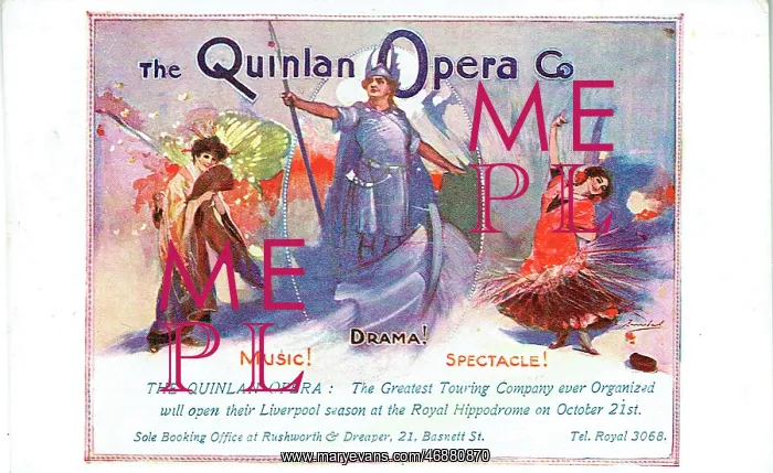 : The Quinlan Opera Company : The Quinlan Opera Company
