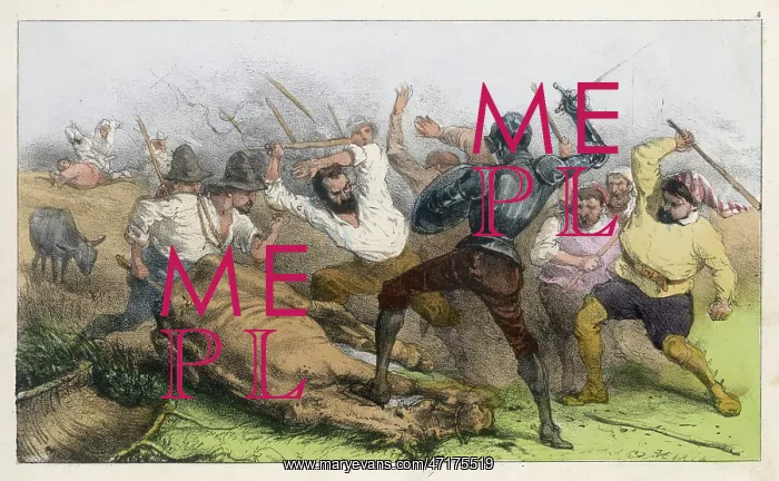  : QUIXOTE & MULETEERS