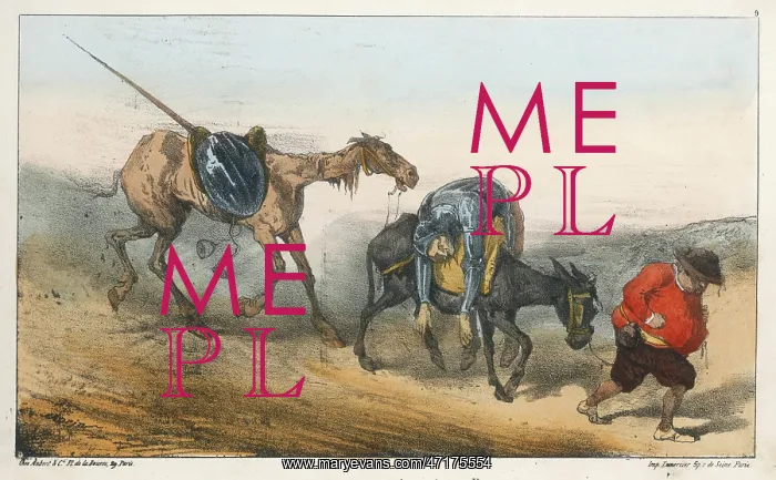 : QUIXOTE WOUNDED : QUIXOTE WOUNDED