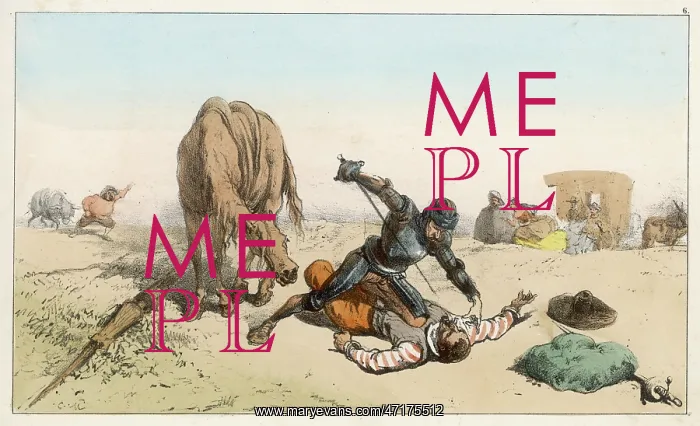 : QUIXOTE'S RESCUE : QUIXOTE'S RESCUE
