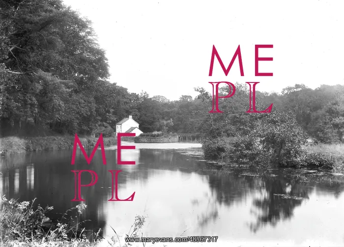 : R. Lagan at Weir Cottage : R. Lagan at Weir Cottage
