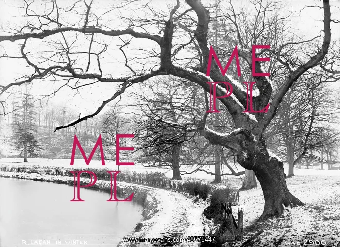 : R. Lagan in Winter : R. Lagan in Winter
