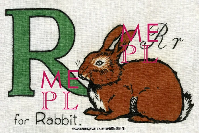  : R for Rabbit