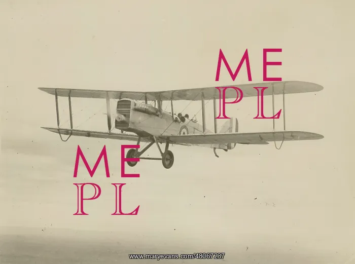 : A RAAF de Havilland DH9A from Point Cooke : A RAAF de Havilland DH9A from Point Cooke