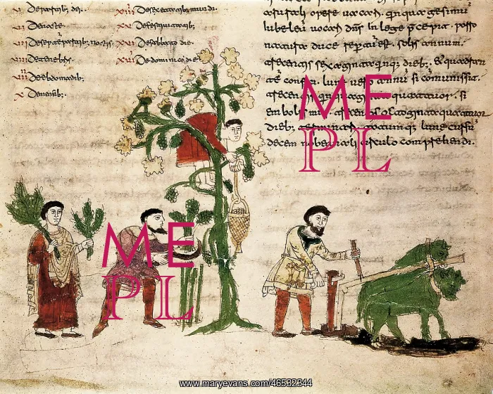 : RABANUS, Maurus (c : RABANUS, Maurus (c