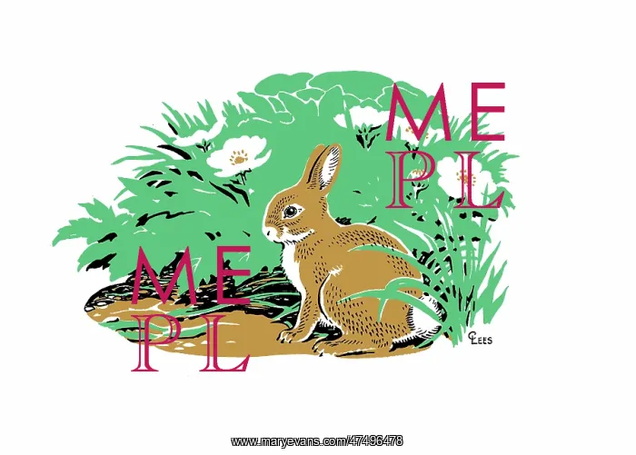  : Rabbit with primroses ? three-colour line design in black, green and brown