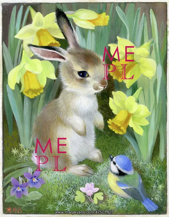  : Rabbit, blue tit and daffodils