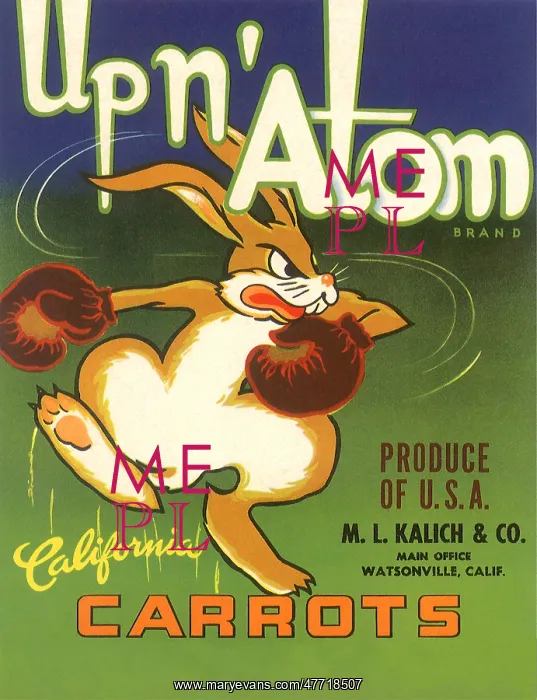  : Rabbit Boxing