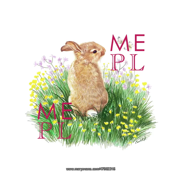  : Rabbit with Butterflies and wild flowers