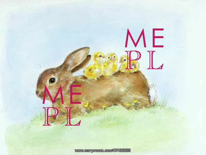  : Rabbit with three Chicks on its back