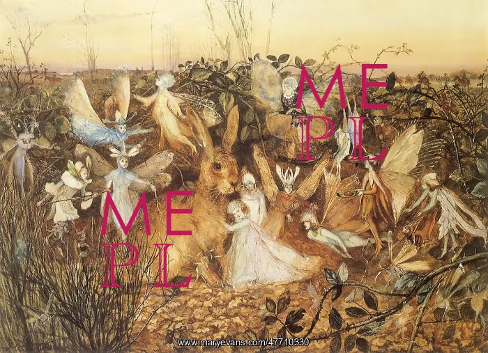 : Rabbit and Fairies : Rabbit and Fairies