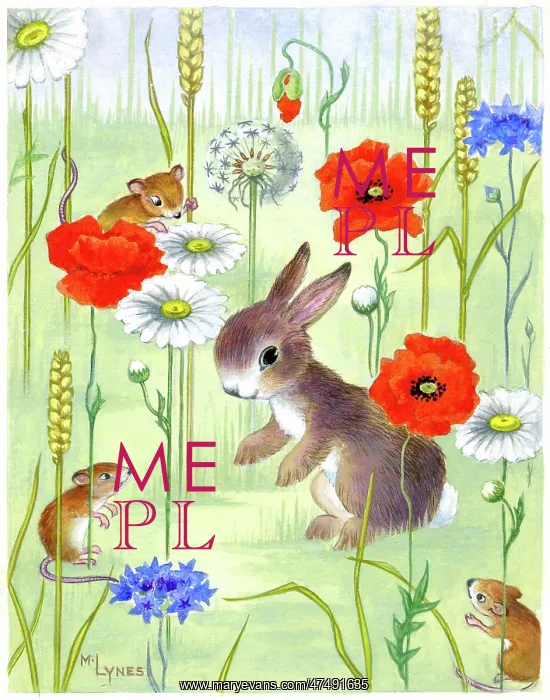 : Rabbit and field mice wit poppies and daisies : Rabbit and field mice wit poppies and daisies