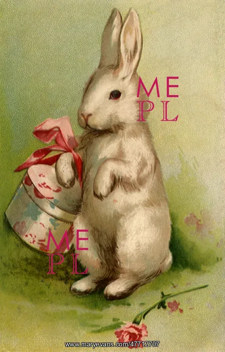  : Rabbit with HatboX
