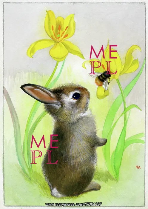  : Rabbit looking at a bumblebee