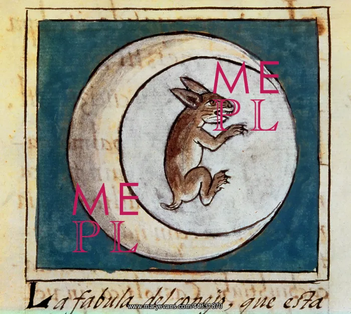 : Rabbit in the moon, fairy : Rabbit in the moon, fairy