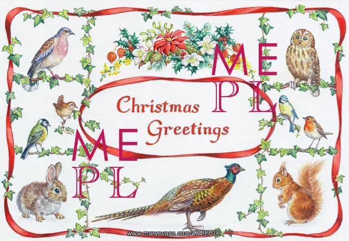 : Rabbit, pheasant, squirrel, tits, owl, robin etc : Rabbit, pheasant, squirrel, tits, owl, robin etc