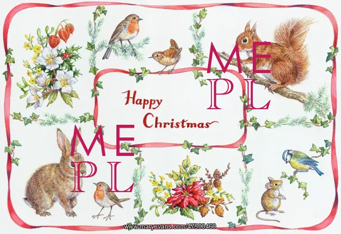 : Rabbit, red squirrel, mouse, robins, wren etc : Rabbit, red squirrel, mouse, robins, wren etc