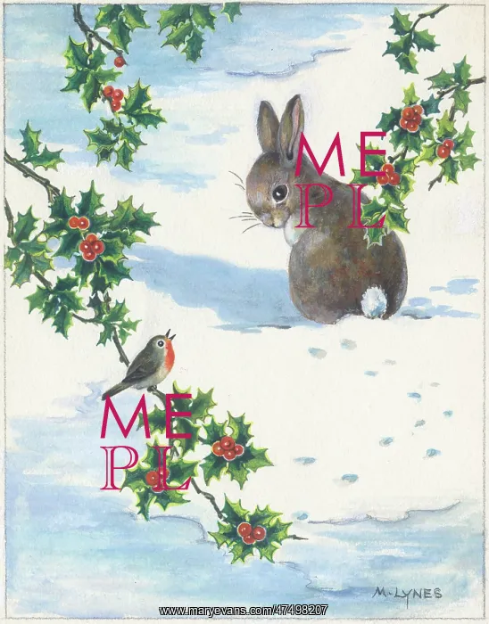 : Rabbit and robin in the snow : Rabbit and robin in the snow