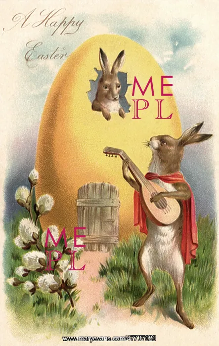  : Rabbit serenades another Rabbit with Guitar