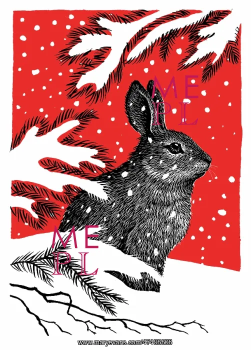  : Rabbit in the snow