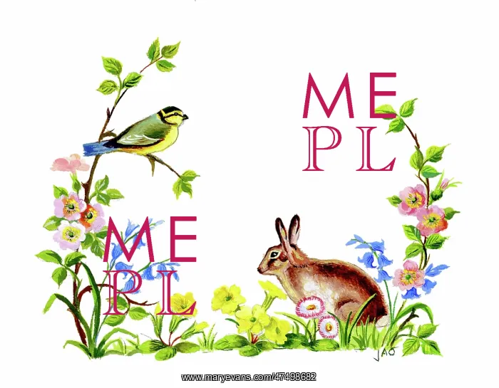 : Rabbit among spring flowers : Rabbit among spring flowers