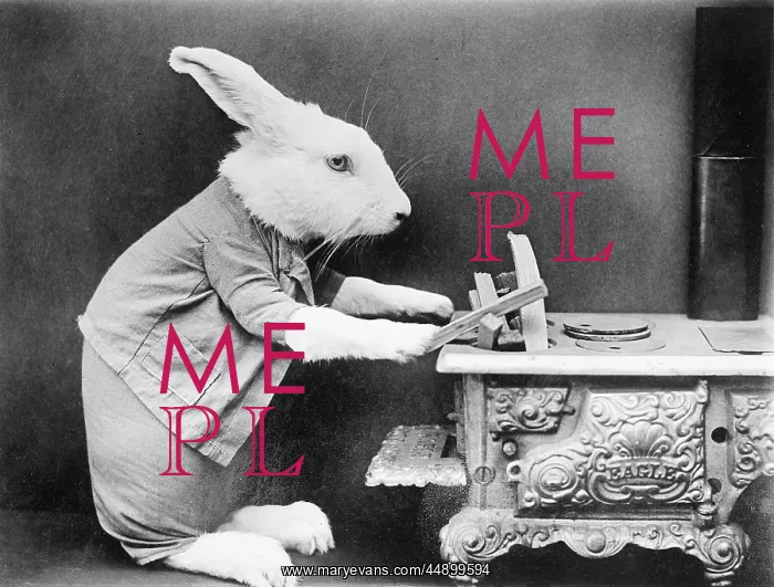  : A Rabbit at the stove