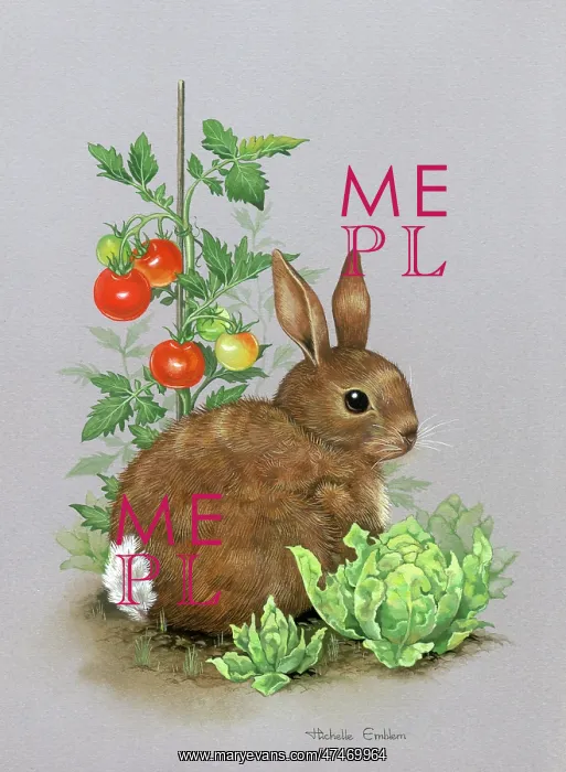 : Rabbit with Tomato Plant and Lettuces : Rabbit with Tomato Plant and Lettuces