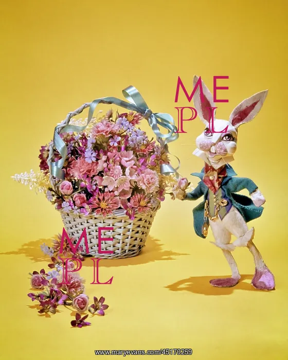 : A Rabbit Wearing Costume Standing Beside a Basket : A Rabbit Wearing Costume Standing Beside a Basket