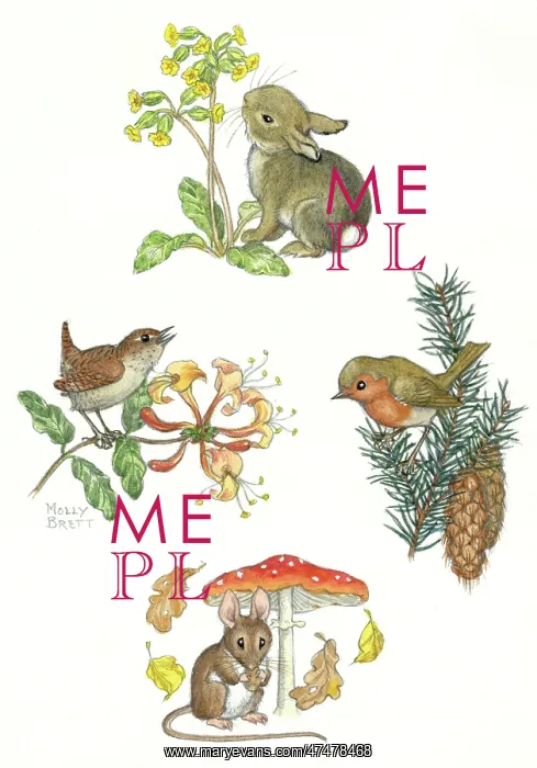 : Rabbit, wren, mouse, robin ' the four seasons : Rabbit, wren, mouse, robin ' the four seasons