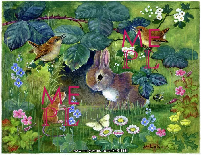 : Rabbit, wrens, , mouse, butterfly & wild flowers : Rabbit, wrens, , mouse, butterfly & wild flowers