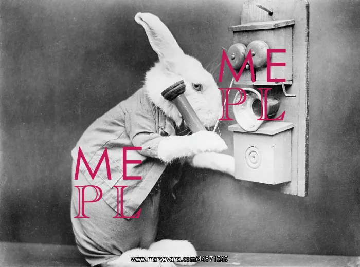 : RABBITING ON THE PHONE : RABBITING ON THE PHONE
