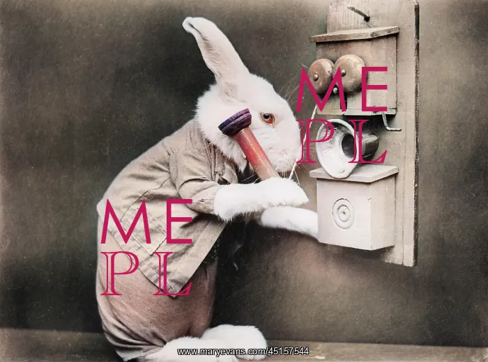 : RABBITING ON THE PHONE : RABBITING ON THE PHONE