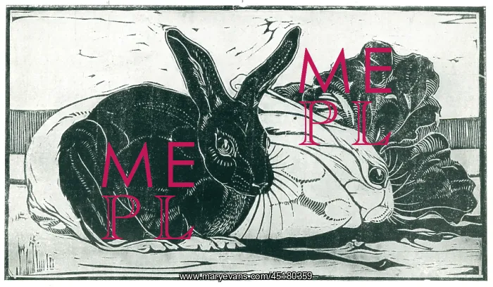 : Rabbits. This woodcut shows a pair of contrasting white : Rabbits. This woodcut shows a pair of contrasting white