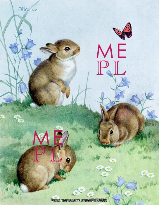  : Three rabbits