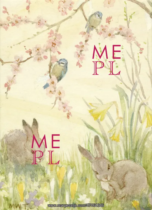 : Rabbits and Blue Tits with spring flowers : Rabbits and Blue Tits with spring flowers