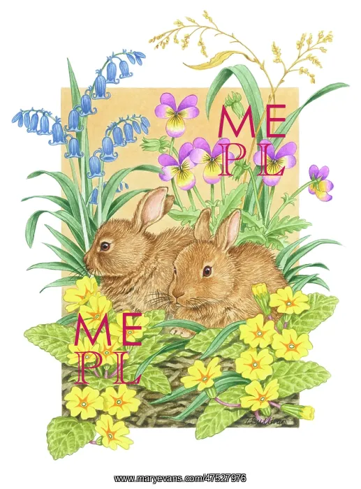  : Two Rabbits with bluebells, primroses and violas