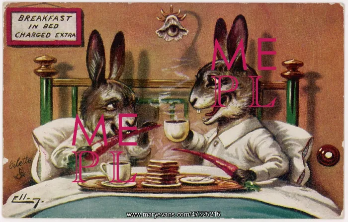 : RABBITS BREAKFAST IN BED : RABBITS BREAKFAST IN BED