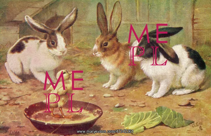 : RABBITS & CHICK 1920S : RABBITS & CHICK 1920S