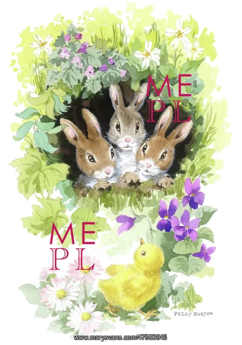 : Three rabbits with chick and violets : Three rabbits with chick and violets