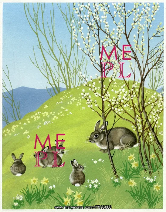 : Rabbits and daffodils : Rabbits and daffodils
